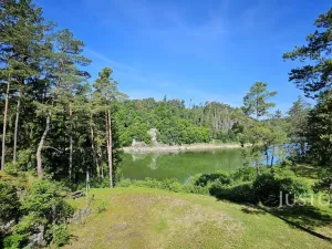 Prodej chaty, Slabčice - Písecká Smoleč, 115 m2