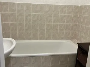 Pronájem bytu 1+1, Habartov, Raisova, 42 m2