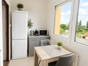 Pronájem bytu 1+1, Nýřany, Havířská, 35 m2
