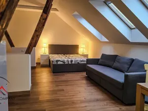 Pronájem bytu 1+kk, Ostrava, Cihelní, 38 m2
