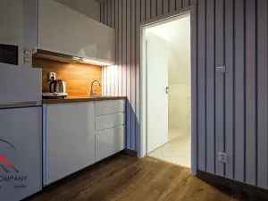 Pronájem bytu 1+kk, Ostrava, Cihelní, 38 m2