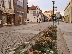 Pronájem kanceláře, Hodonín, Příční, 130 m2
