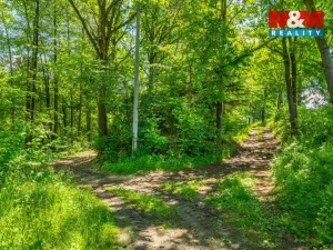 Prodej zemědělského objektu, Neustupov - Jiřetice, 400 m2