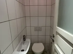 Pronájem ubytování, Veselí nad Lužnicí - Veselí nad Lužnicí I, náměstí T. G. Masaryka, 170 m2