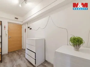Prodej bytu 1+1, Opava - Předměstí, Polanova, 38 m2