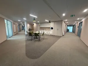 Pronájem kanceláře, Praha - Košíře, Vrchlického, 300 m2