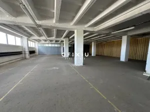 Pronájem skladu, Brno, Vídeňská, 400 m2