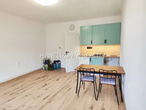 Pronájem bytu 1+kk, České Budějovice - České Budějovice 3, Lipenská, 27 m2