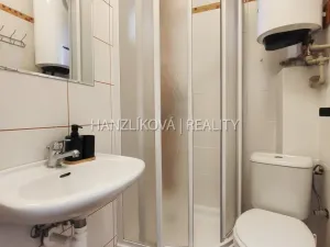 Pronájem bytu 1+kk, České Budějovice - České Budějovice 3, Lipenská, 27 m2