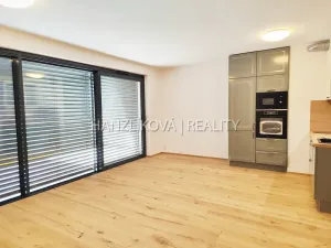 Pronájem bytu 1+kk, České Budějovice - České Budějovice 3, Fráni Šrámka, 41 m2