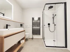 Pronájem bytu 1+kk, České Budějovice - České Budějovice 3, Fráni Šrámka, 41 m2