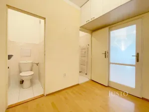 Prodej bytu 1+1, Praha - Smíchov, K vodojemu, 50 m2