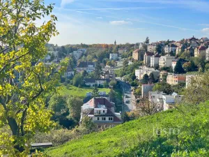 Prodej bytu 1+1, Praha - Smíchov, K vodojemu, 50 m2