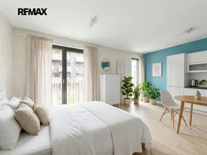 Prodej bytu 1+kk, Praha - Žižkov, Olšanská, 34 m2
