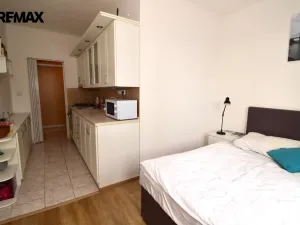 Pronájem bytu 1+1, České Budějovice - České Budějovice 3, Zachariášova, 50 m2