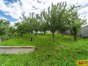 Prodej rodinného domu, Dražovice, 169 m2