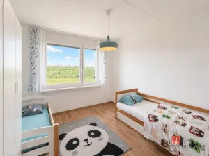 Prodej bytu 3+1, Plzeň, Hodonínská, 77 m2