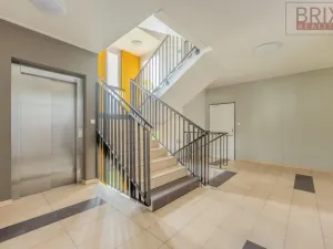 Pronájem bytu 2+kk, Praha, Svitákova, 54 m2