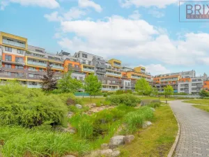 Pronájem bytu 2+kk, Praha, Svitákova, 54 m2