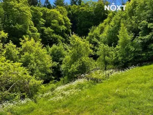 Prodej pozemku pro bydlení, Liberec, Za Tratí, 5154 m2