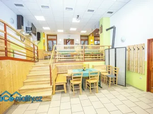 Prodej komerční nemovitosti, Slatina nad Zdobnicí, 572 m2