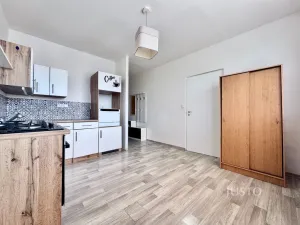 Prodej bytu 1+1, Ústí nad Labem - Severní Terasa, Meruňková, 35 m2
