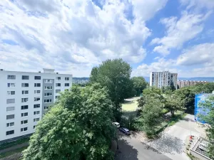 Prodej bytu 1+1, Ústí nad Labem - Severní Terasa, Meruňková, 35 m2