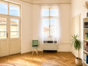 Pronájem bytu 2+1, Brno, Kozí, 81 m2
