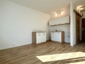 Pronájem bytu 1+kk, Cheb, Nová, 20 m2