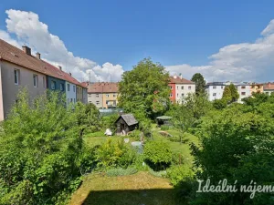 Pronájem bytu 5+kk, Brno - Žabovřesky, Šmejkalova, 190 m2