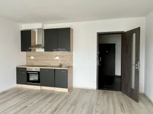 Pronájem bytu 1+kk, Plzeň - Bolevec, Studentská, 37 m2