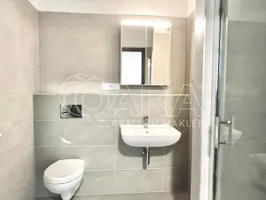 Pronájem bytu 1+kk, Plzeň - Bolevec, Studentská, 37 m2