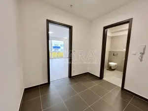 Pronájem bytu 1+kk, Plzeň - Bolevec, Studentská, 37 m2