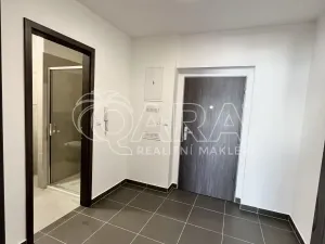 Pronájem bytu 1+kk, Plzeň - Bolevec, Studentská, 37 m2