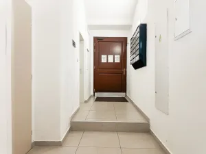 Pronájem bytu 1+1, Praha - Žižkov, Jeronýmova, 30 m2