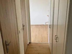 Pronájem bytu 1+1, Brno, Ježkova, 40 m2
