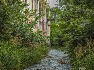 Prodej historického objektu, Tasovice, 1100 m2
