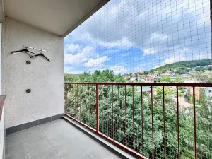 Prodej bytu 1+1, Ústí nad Labem, Meruňková, 35 m2