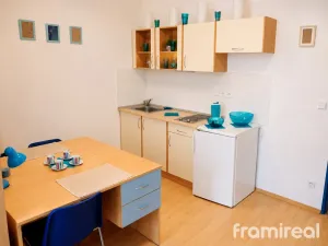 Prodej bytu 1+kk, Brno, Cejl, 23 m2
