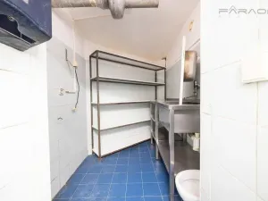 Pronájem restaurace, Praha - Vinohrady, Chorvatská, 207 m2