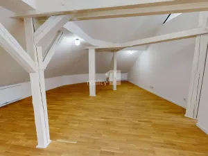 Pronájem bytu 2+kk, Pelhřimov, Tylova, 151 m2