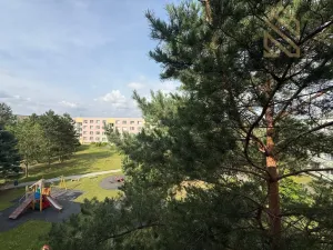 Pronájem bytu 1+1, Louny, Březinova, 37 m2