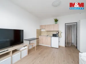 Prodej bytu 1+kk, Teplice - Řetenice, Bratislavská, 21 m2