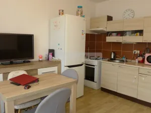Prodej bytu 1+1, Plzeň - Severní Předměstí, Sokolovská, 40 m2