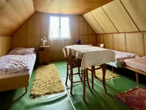 Prodej chaty, Jihlava, 35 m2