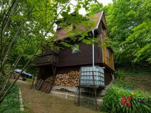 Prodej chaty, Hromnice - Planá, 58 m2