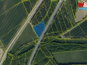 Prodej lesa, Pardubice - Trnová, 3361 m2
