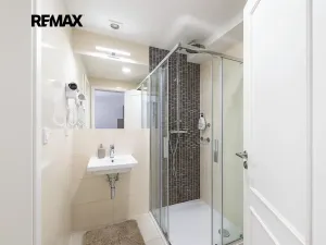 Prodej bytu 2+kk, Praha - Vinohrady, Korunní, 49 m2