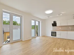 Pronájem bytu 1+kk, Brno, U zoologické zahrady, 37 m2