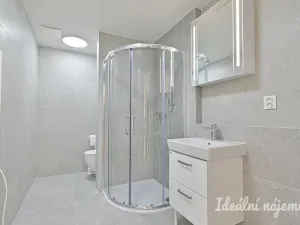 Pronájem bytu 1+kk, Brno, U zoologické zahrady, 37 m2